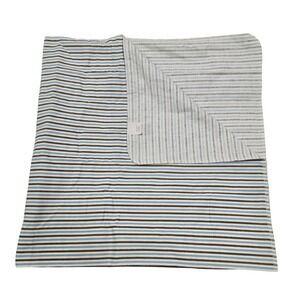 DwellStudio for Target Baby Blanket Striped Blue Brown White Cotton Flannel Y2K